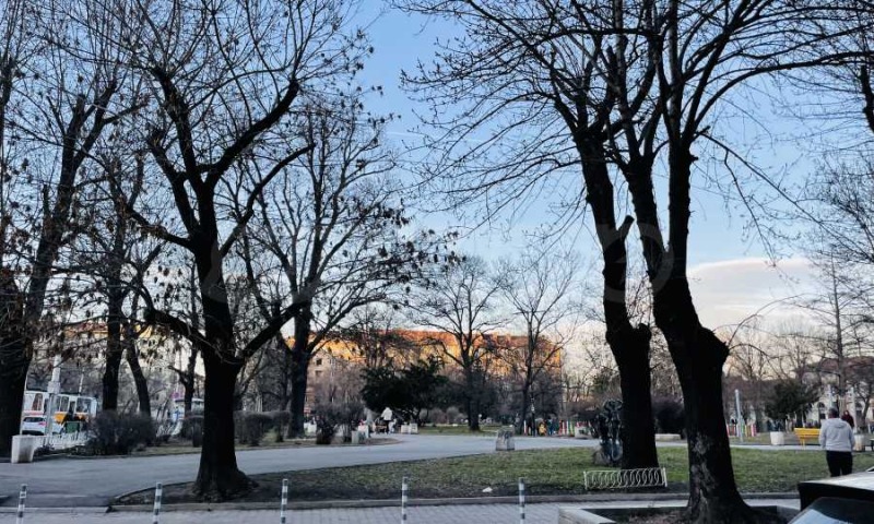 In vendita  Ufficio Sofia , Tsentar , 217 mq | 42341182 - Immagine [10]