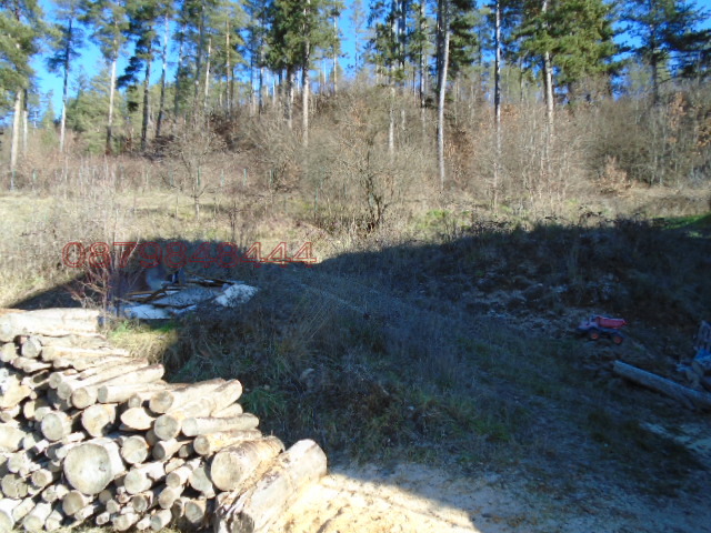 Продава ПАРЦЕЛ, гр. Рудозем, област Смолян, снимка 4 - Парцели - 52871817