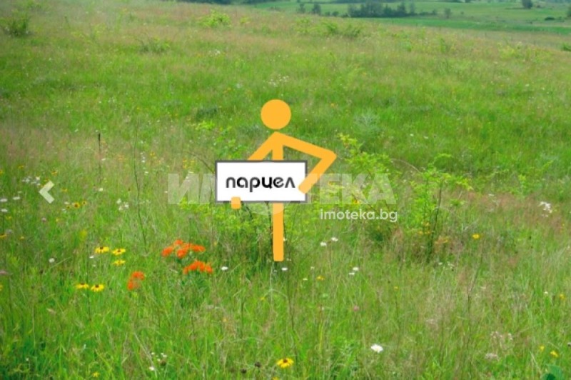 In vendita  Complotto regione Sofia , Govedartsi , 5500 mq | 40035444