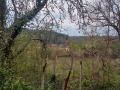 Продава КЪЩА, с. Беглеж, област Плевен, снимка 2