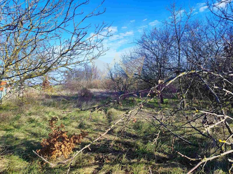 Продава ПАРЦЕЛ в област Добрич, гр. Балчик - 1445 кв.м / 28 000 € » 54 763.24 лв., ИМОТИ ПРЕМИЕР