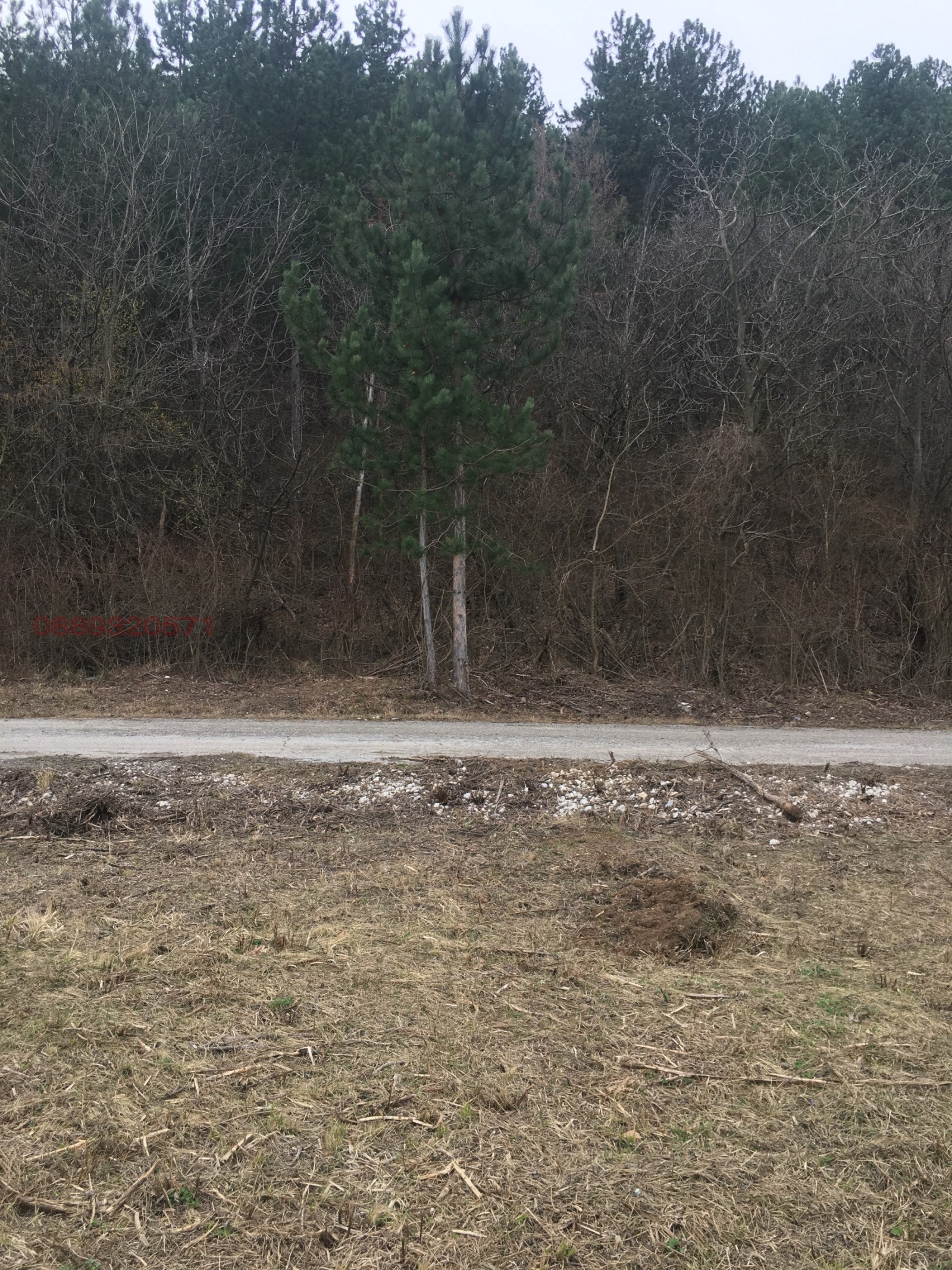 ������� ���������� ���� | Imot.bg � ����������� 3