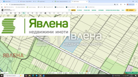 ������ ������� ������