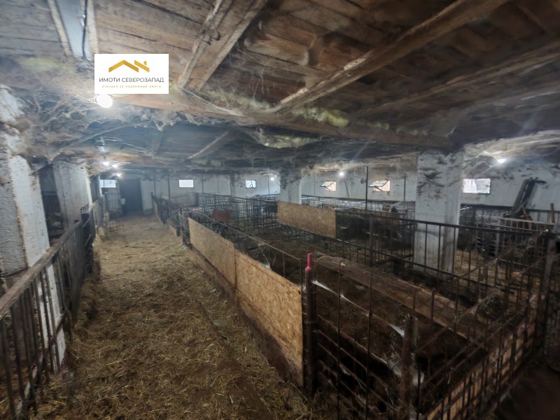 Продава БИЗНЕС ИМОТ, с. Песочница, област Монтана, снимка 12 - Други - 52413723