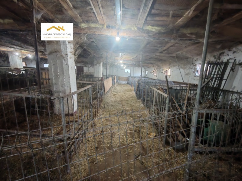 Продава БИЗНЕС ИМОТ, с. Песочница, област Монтана, снимка 9 - Други - 52413723