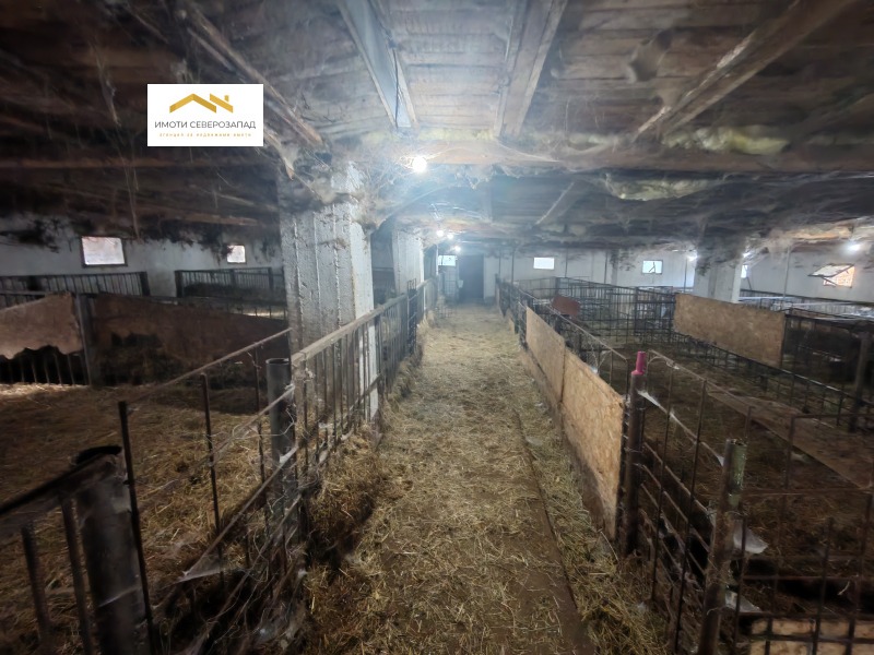 Продава БИЗНЕС ИМОТ, с. Песочница, област Монтана, снимка 11 - Други - 52413723