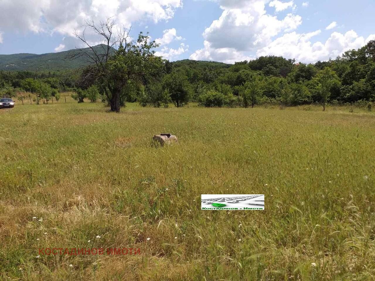 Продава ПАРЦЕЛ, с. Сърнегор, област Пловдив, снимка 2 - Парцели - 44857581