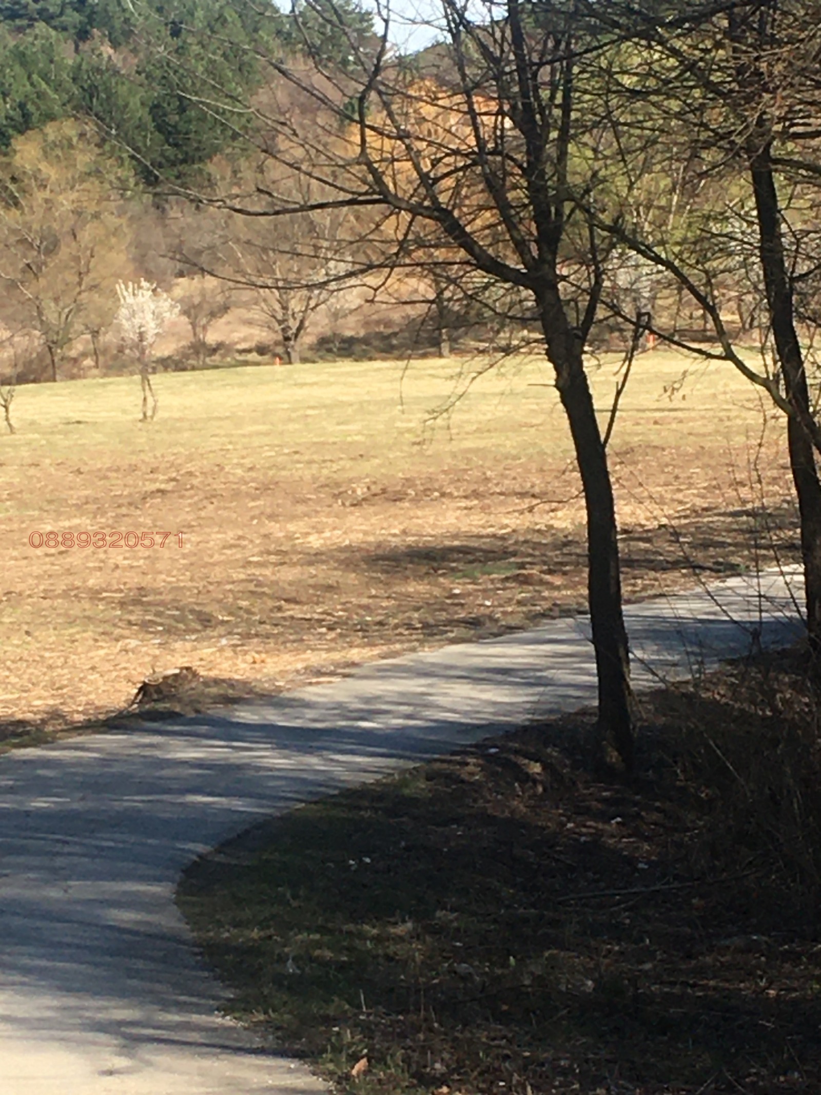 Продава ЗЕМЕДЕЛСКА ЗЕМЯ, с. Руен, област Пловдив, снимка 4 - Земеделска земя - 53649293