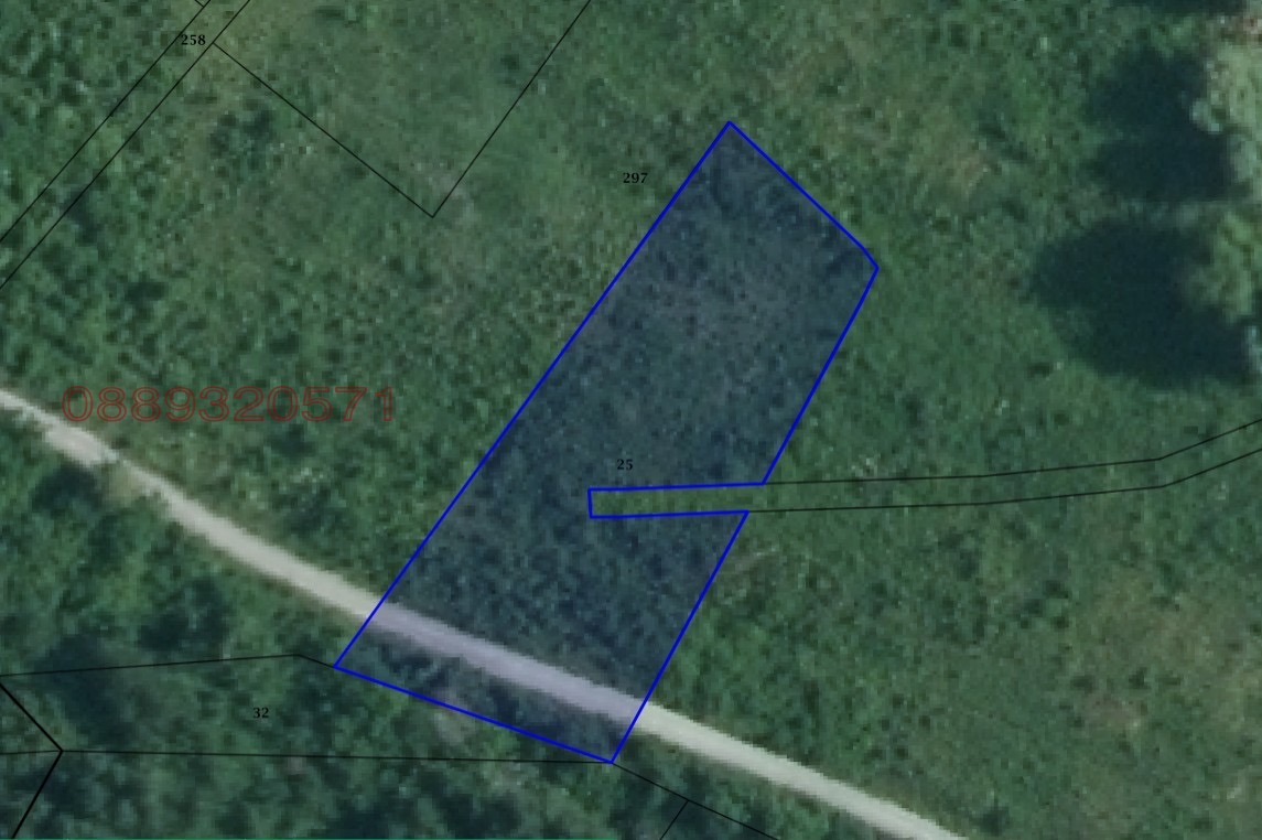 Продава ЗЕМЕДЕЛСКА ЗЕМЯ, с. Руен, област Пловдив, снимка 5 - Земеделска земя - 53649293