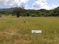 Продава ПАРЦЕЛ, с. Сърнегор, област Пловдив, снимка 2