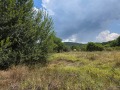 Продава ЗЕМЕДЕЛСКА ЗЕМЯ, с. Мало село, област Кюстендил, снимка 6