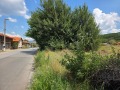 Продава ЗЕМЕДЕЛСКА ЗЕМЯ, с. Мало село, област Кюстендил, снимка 2