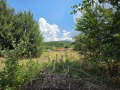 Продава ЗЕМЕДЕЛСКА ЗЕМЯ, с. Мало село, област Кюстендил, снимка 5