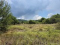 Продава ЗЕМЕДЕЛСКА ЗЕМЯ, с. Мало село, област Кюстендил, снимка 4