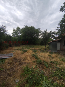 ������� ���� | Imot.bg � ����� ������ 5