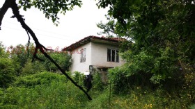 Плот Радево, регион Варна 3