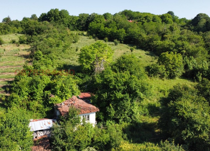 Продаја  Плот регион Варна , Радево , 5600 м2 | 24377508
