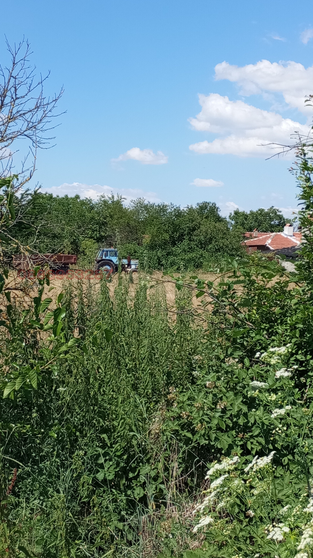 Продава ПАРЦЕЛ, с. Трънково, област Стара Загора, снимка 5 - Парцели - 55319355