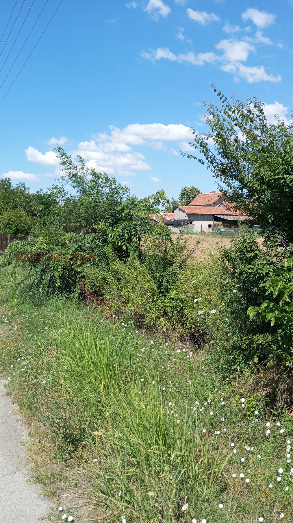 Продава ПАРЦЕЛ, с. Трънково, област Стара Загора, снимка 3 - Парцели - 55319355