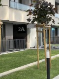 Продава 2-СТАЕН, гр. София, Сердика, снимка 7