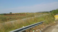 Продава  Парцел област Хасково , магистрала Марица , 8311 кв.м | 88478936 - изображение [14]