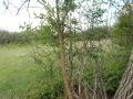 Продава ПАРЦЕЛ, област Варна, с. Радево • 40990 € • 64048115 — Holmes.bg