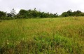 Продава ПАРЦЕЛ, област Варна, с. Радево • 40990 € • 64048115 — Holmes.bg