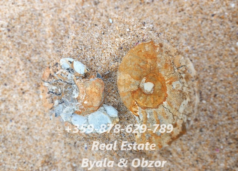 Na prodej  Studio oblast Varna , Bjala , 33 m2 | 90462093 - obraz [10]