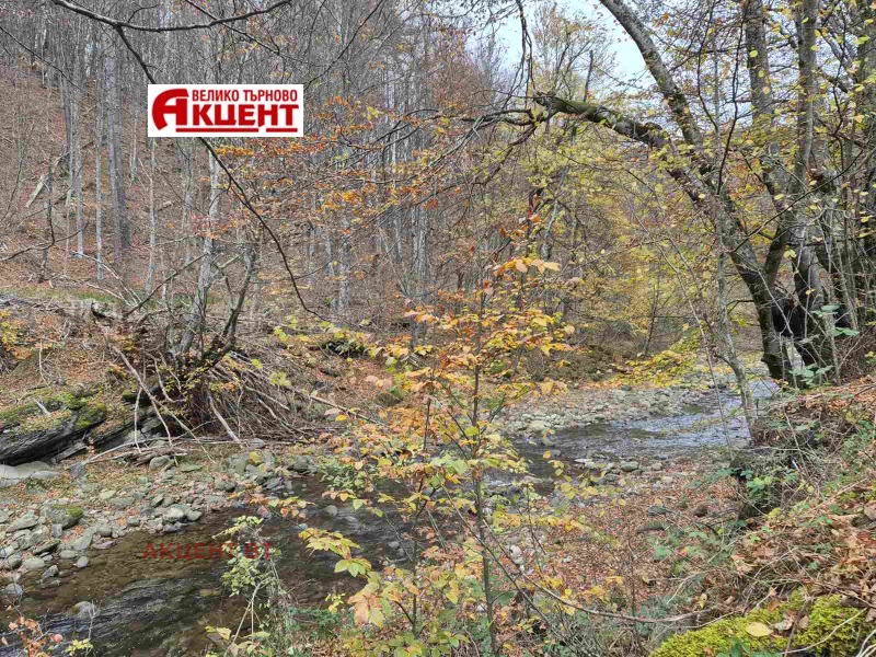 Продава БИЗНЕС ИМОТ, с. Валевци, област Габрово, снимка 6 - Други - 52331793