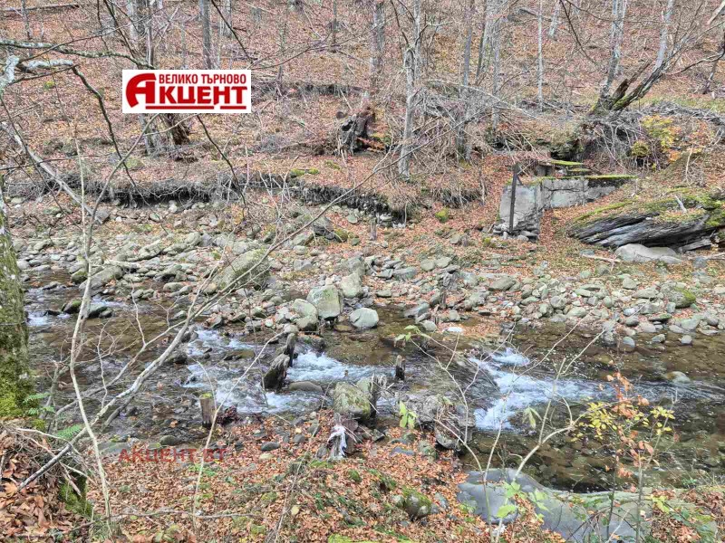 Продава БИЗНЕС ИМОТ, с. Валевци, област Габрово, снимка 5 - Други - 52331793