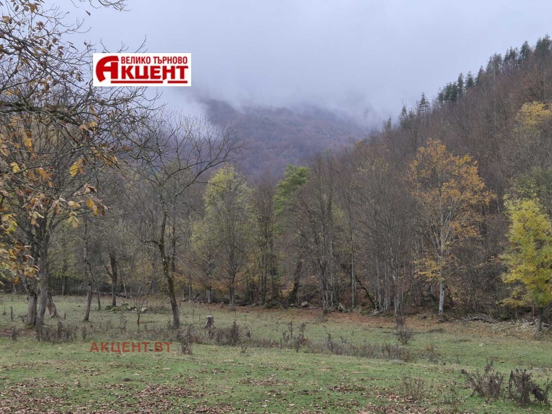 Продава БИЗНЕС ИМОТ, с. Валевци, област Габрово, снимка 7 - Други - 52331793