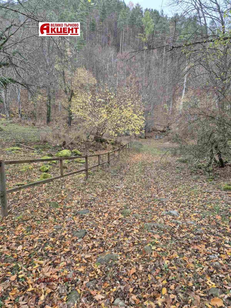 Продава БИЗНЕС ИМОТ, с. Валевци, област Габрово, снимка 4 - Други - 52331793