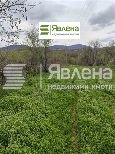 Продава ПАРЦЕЛ, с. Дъбравка, област Видин
