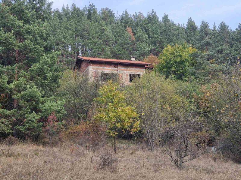 ������� ������ | Imot.bg � ����������� 1