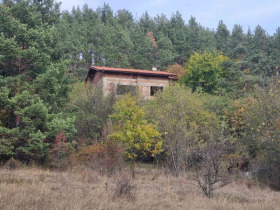 ����� ������� ������,�. ������, ������ �����