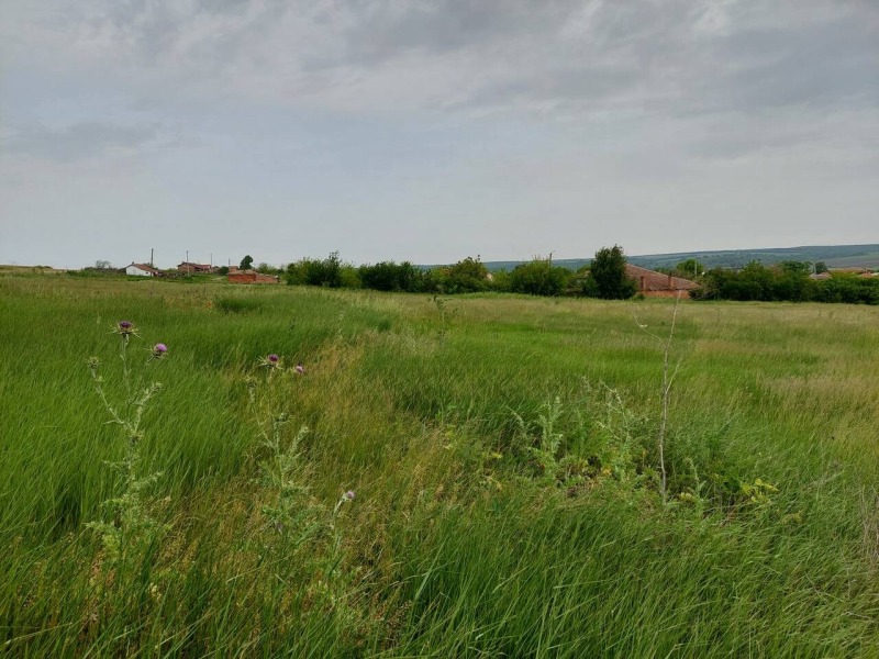 Na prodej  Spiknutí oblast Burgas , Pomorie , 6730 m2 | 66516003