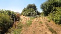 Продава ПАРЦЕЛ, с. Малко Кадиево, област Стара Загора, снимка 2
