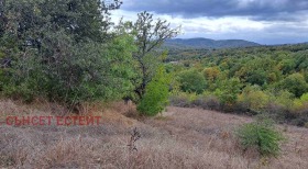 Plot Krushevets, region Burgas