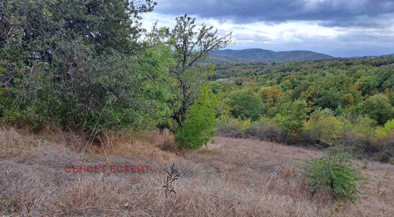 For Sale  Plot region Burgas , Krushevets , 1908 sq.m | 38366976