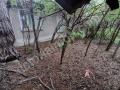 Продава  Къща област Велико Търново , гр. Полски Тръмбеш , 135 кв.м | 84243693 - изображение [12]