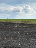 Продава ПАРЦЕЛ, град Бургас, Промишлена зона - Север • 2100000 € / 4107243.00 лв. • 61412622 1