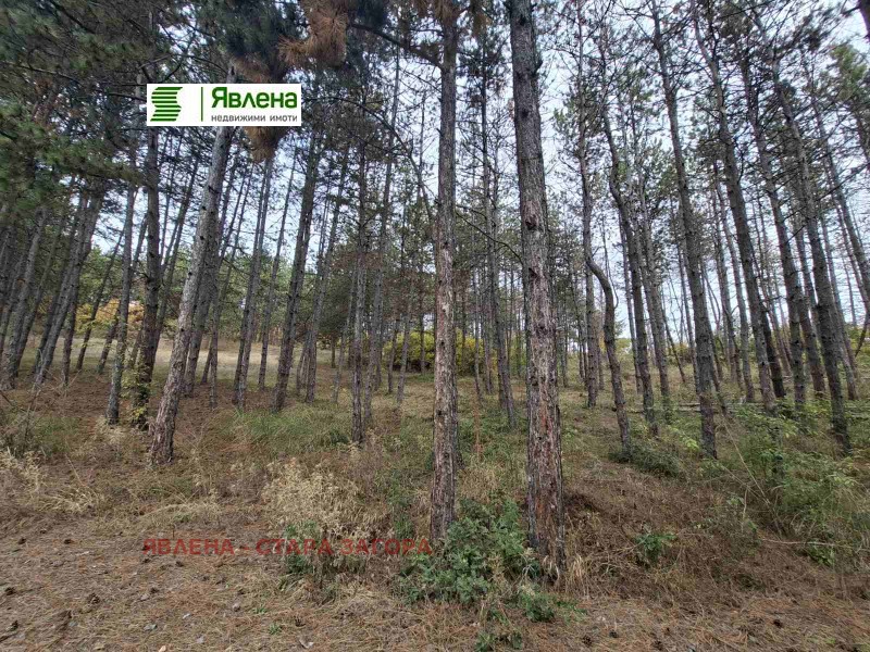 Продава ПАРЦЕЛ в област Стара Загора, с. Богомилово - 919 кв.м / 91 900 € » 179 740.78 лв., ЯВЛЕНА - СТАРА ЗАГОРА