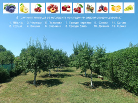 ������� ���� | Imot.bg � ����� ������ 13