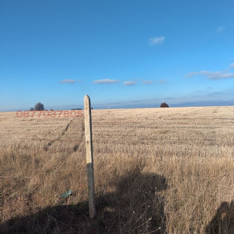 Продава ПАРЦЕЛ, гр. София, гр. Банкя, снимка 2 - Парцели - 53565558