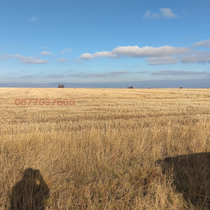 Продава ПАРЦЕЛ, гр. София, гр. Банкя, снимка 4 - Парцели - 53565558