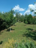 Продава  Къща област Стара Загора , с. Малко Тръново , 130 кв.м | 28153301 - изображение [12]