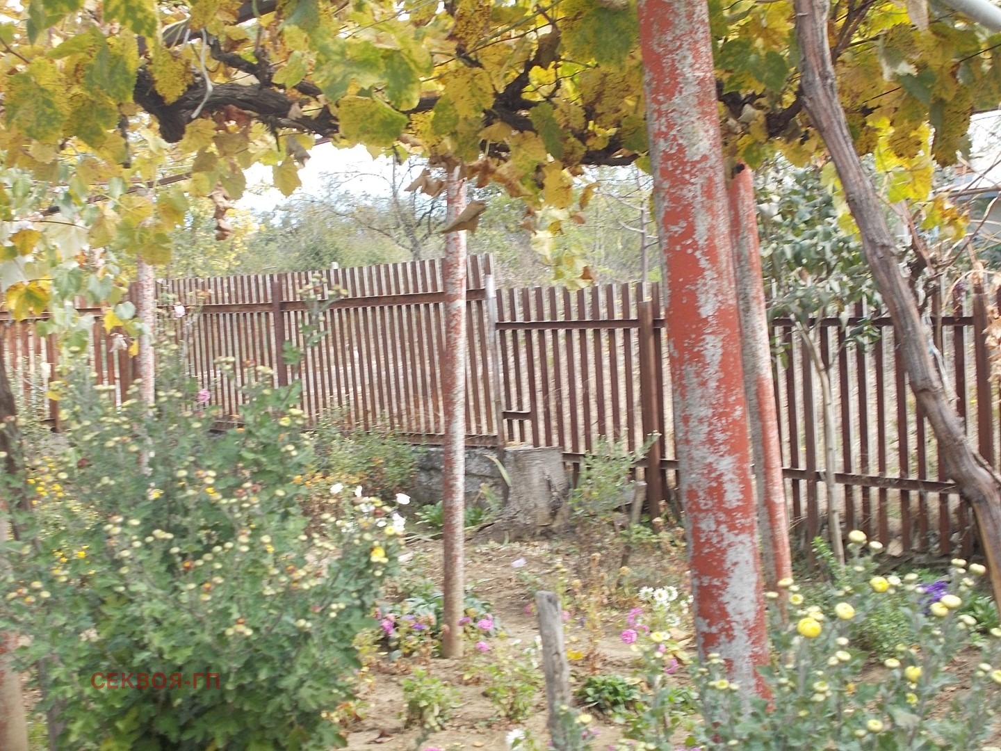 ������� ���� | Imot.bg � ����������� 13