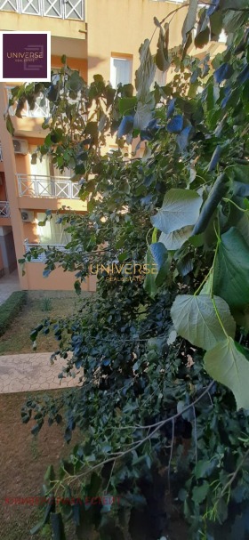 ������� 1-����� | Imot.bg � ����� ������ 10