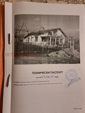 ������ ������� ����