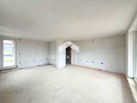 ����� ������� ����,�. ���� ���, ������ �����